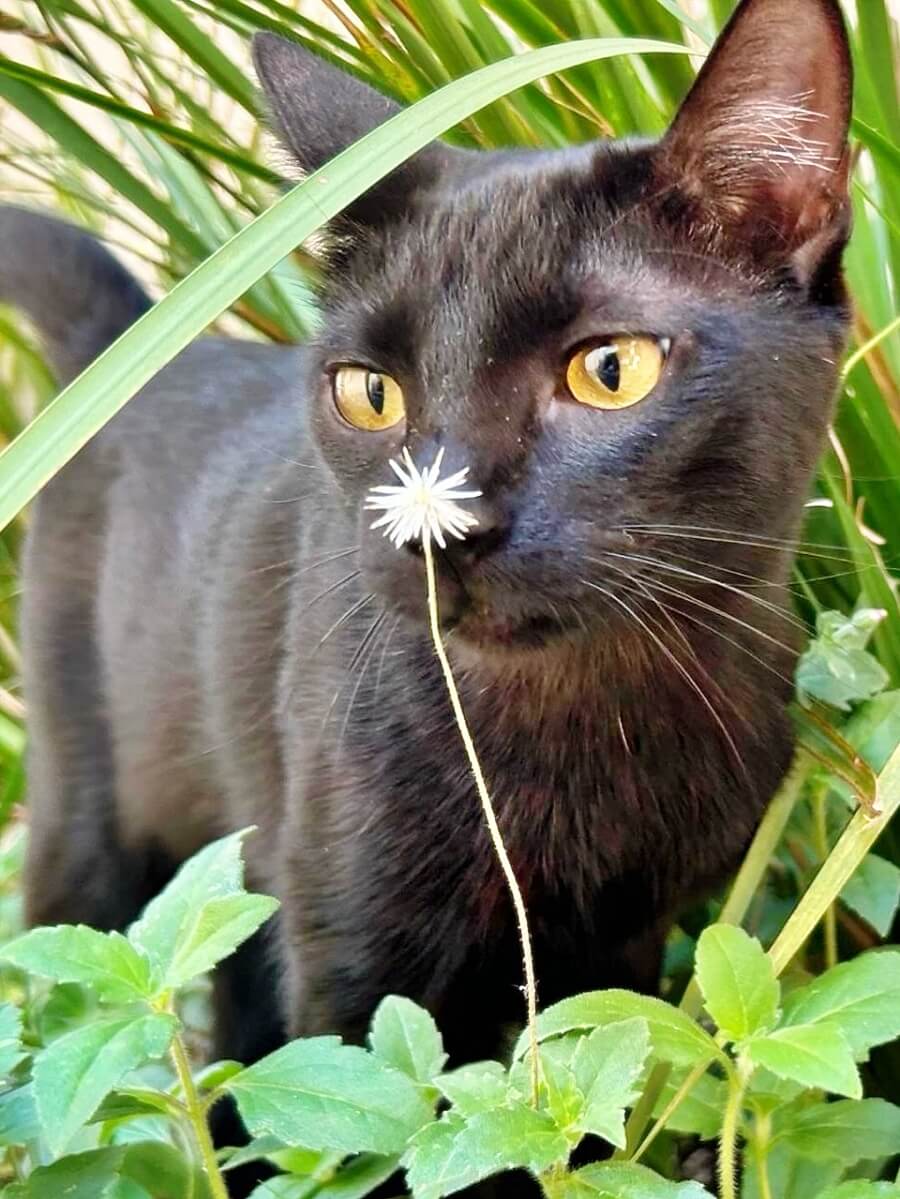Patricio smelling a flower