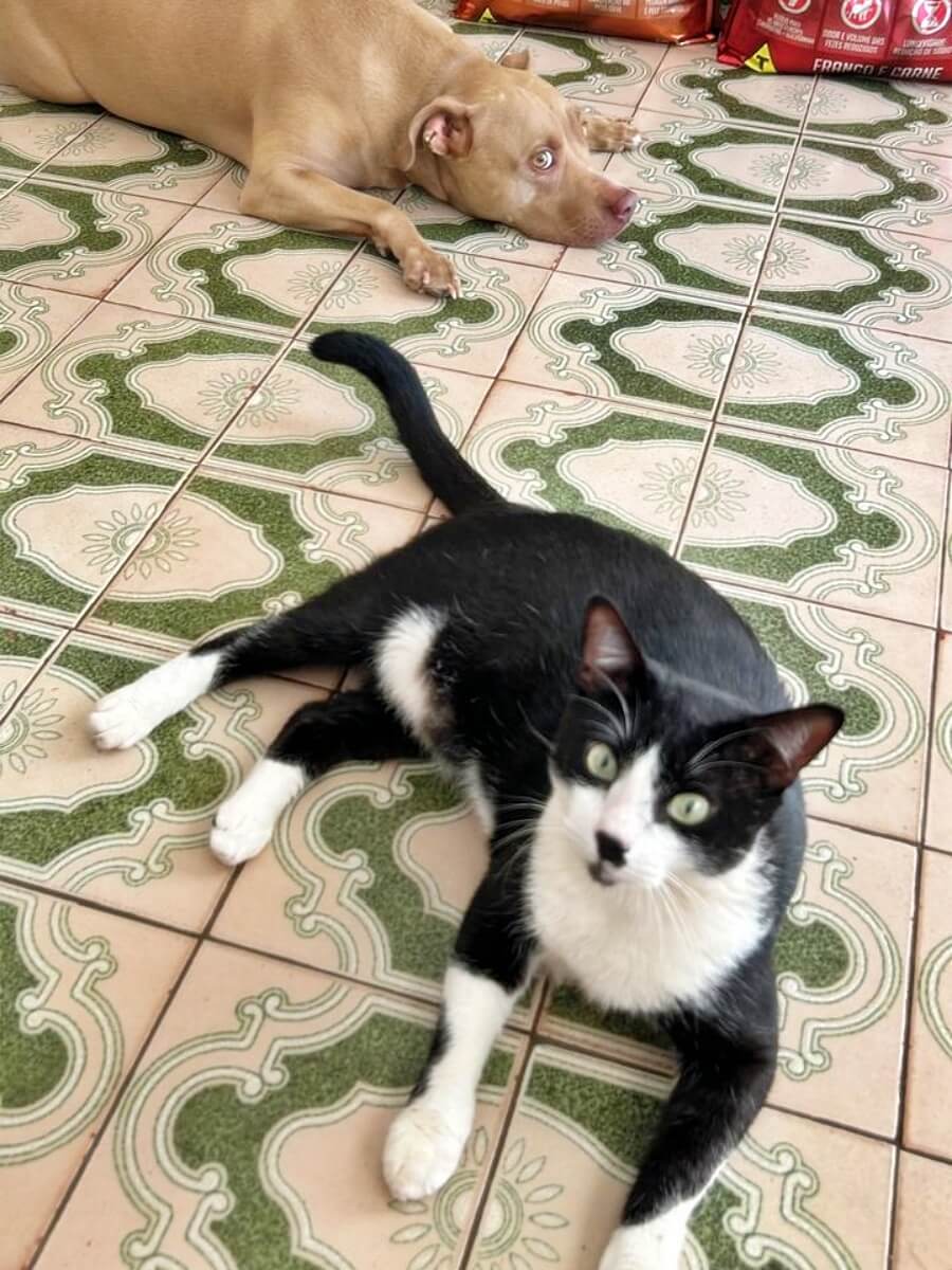 Marcos laying with Sarah in the porch