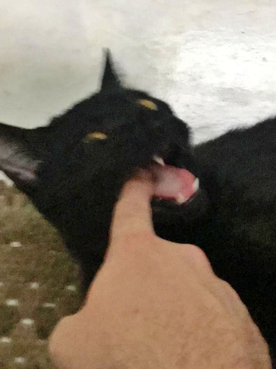 Patricio biting a finger