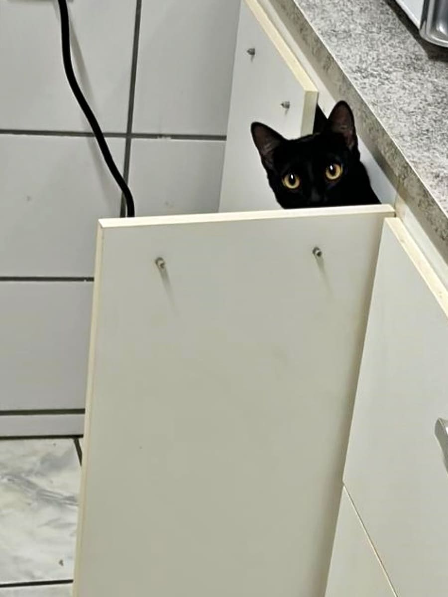Patricio peeking from an open cabinet, showing only the top of his head and eyes